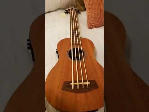 My New Bass Ukulele