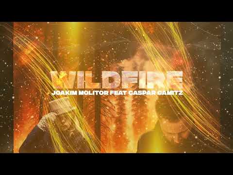 Joakim Molitor feat. Caspar Camitz - WILDFIRE