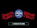 Ringling Bros And Barnum Bailey Circus 13 Tigers In The Ring 1989
