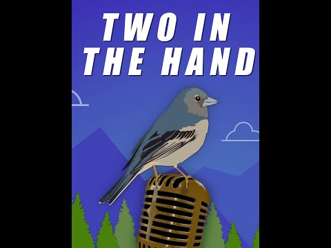 Two In The Hand - Episode 3 - BIRDING PODCAST - #Birds #Ireland #WesternPalearctic