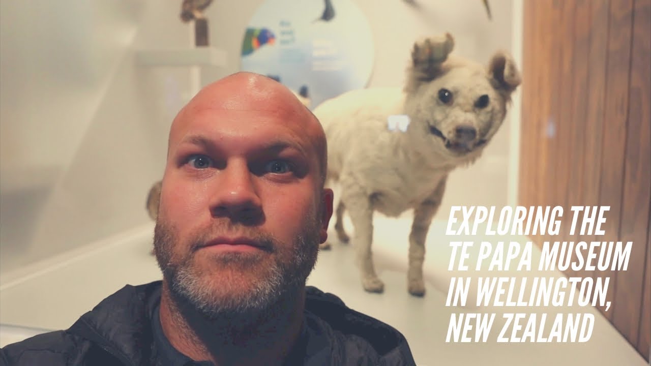 Join a duo on a captivating visit to Museum of New Zealand Te Papa Tongarewa.