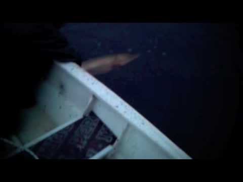 13,15kg Gädda på Åland