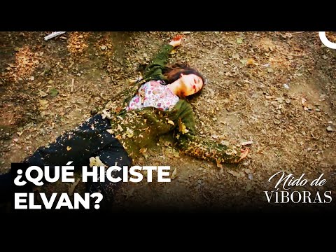 Sebnem Se Cayó Del Abismo - Nido De Víboras