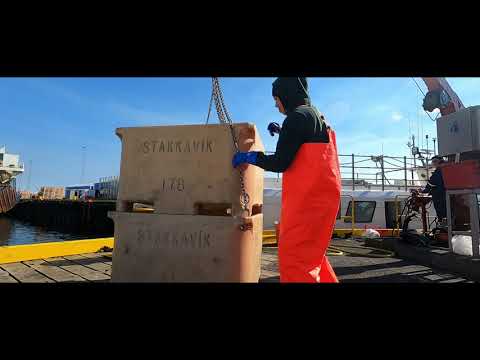 11/05/21, offloading fish