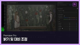 [프리미어 프로] #6 밝기 및 대비 조정