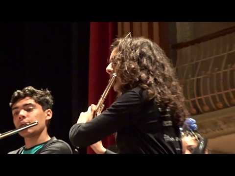 Castrum Alemorum - Jacob de Haan