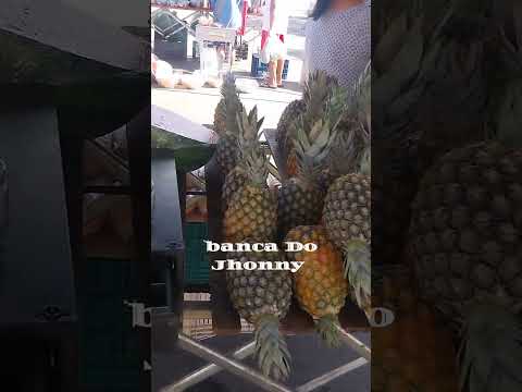 feira de Bela Vista de Goiás