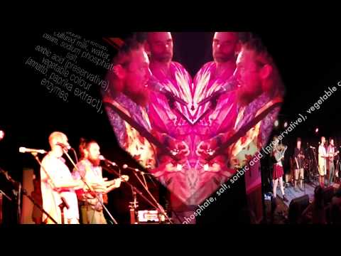 Egg & Cheese Muffin - Formidable Vegetable live at Nannup Music Festival