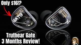 Your gateway to the IEM world? | Truthear Gate 90 days Review