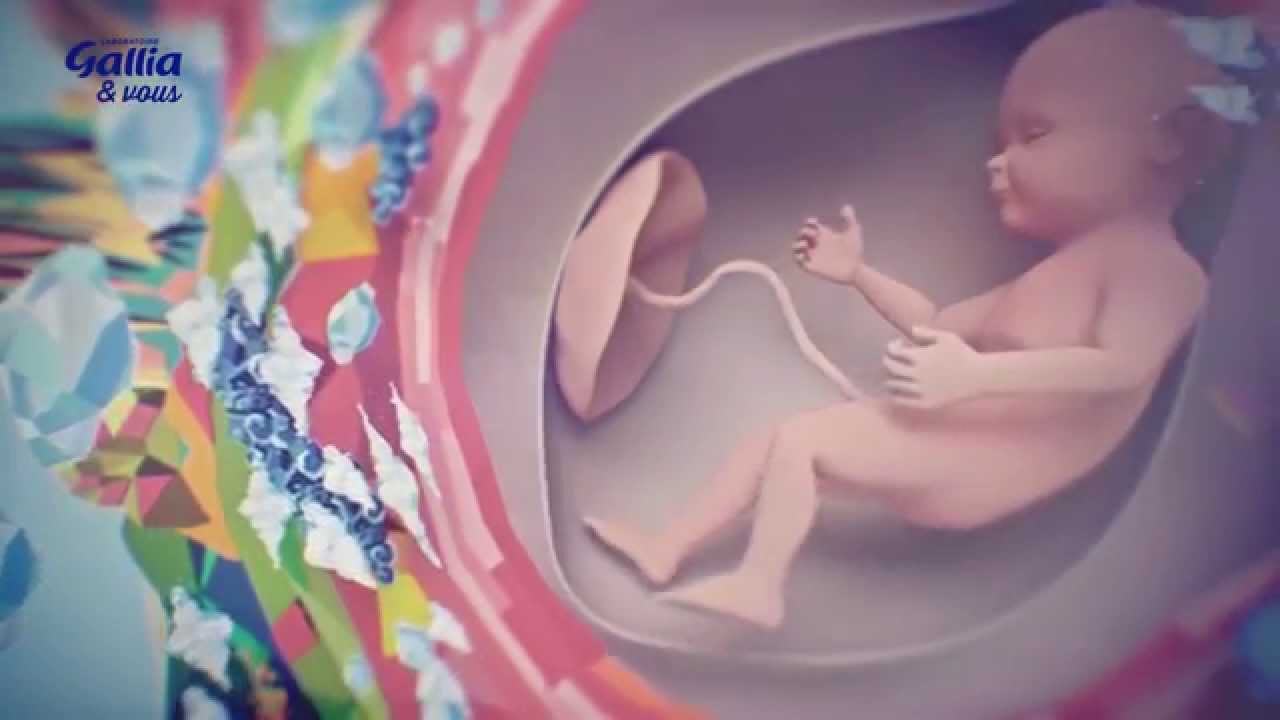 Watch video Le développement du fœtus – Grossesse : comment évolue bébé – Laboratoire Gallia Le développement du fœtus – Grossesse : comment évolue bébé – Laboratoire Gallia