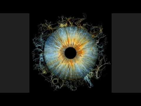 Robleis, Einer Bankz, Seven Kayne - bien x vos | buscando la luz deluxe [audio]