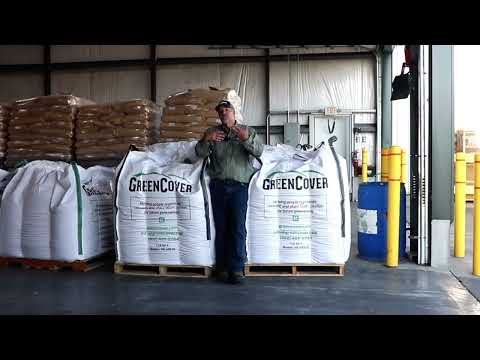 Choosing the Ideal Winter Cover Crop: Triticale, Wheat, Rye