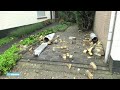 Rheden likt zijn wonden na heftige tornado - RTL NIEUWS