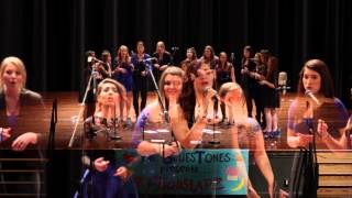 The JMU BluesTones Spring 2014 Concert