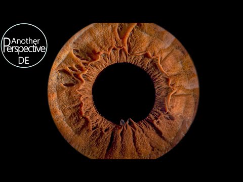 Das perfekte Iris Foto selber machen - Einfach aber Genial! 📸 Augen Fotografie ohne Blitz