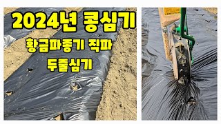 콩직파 2024년 황금파종기 봄배추 후작 [콩재배방법]