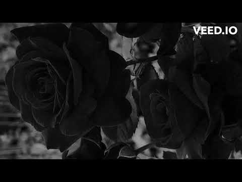 Melayn a blossom official video by Aneeq Ahmed