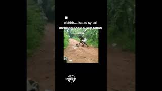 Download lagu Lawak mp3
