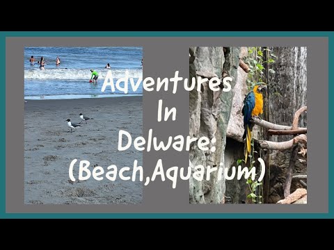 3 Week Road Trip-Adventures In Delaware:(Beach, Aquarium) short