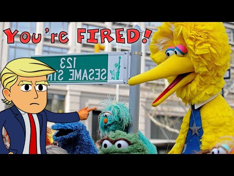 Donald Trump reacts to Sesame Street