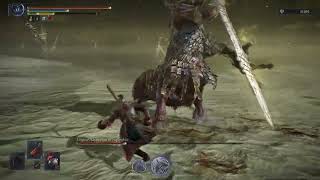 [閒聊] 黑夜君臨 單人禁翻滾無傷各夜王