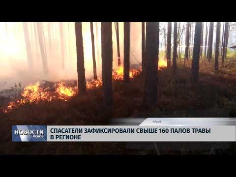 29.03.2019 / Спасатели зафиксировали свыше 160 палов травы в регионе