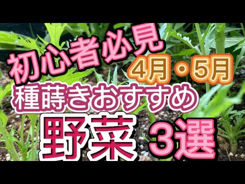 春の息吹を感じる3月に庭で何をしましょうか？ 2月の準備の後、3月に何を植え、種をまき、収穫するでしょうか？  庭園
