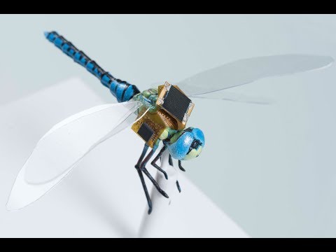 Check Out the Latest Technological Breakthroughs