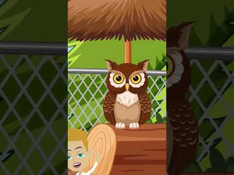 LA LECHUZA 🦉🥱😴 Pampina |  La Lechuza Hace Shh - y Más Canciones Para Dormir A Tu Bebé para Dormir