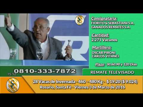 03-03-17 - Venta de Vientres - Remate Televisado Fiorito y Sebastiani - Ganados Remates