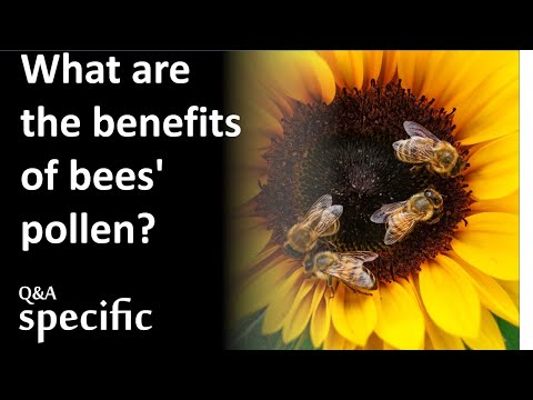 , title : 'What are the benefits of bees' pollen?
