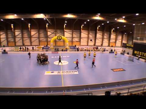 Maalikooste Indians - OLS