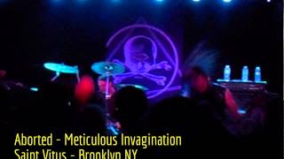 Aborted - Meticulous Invagination