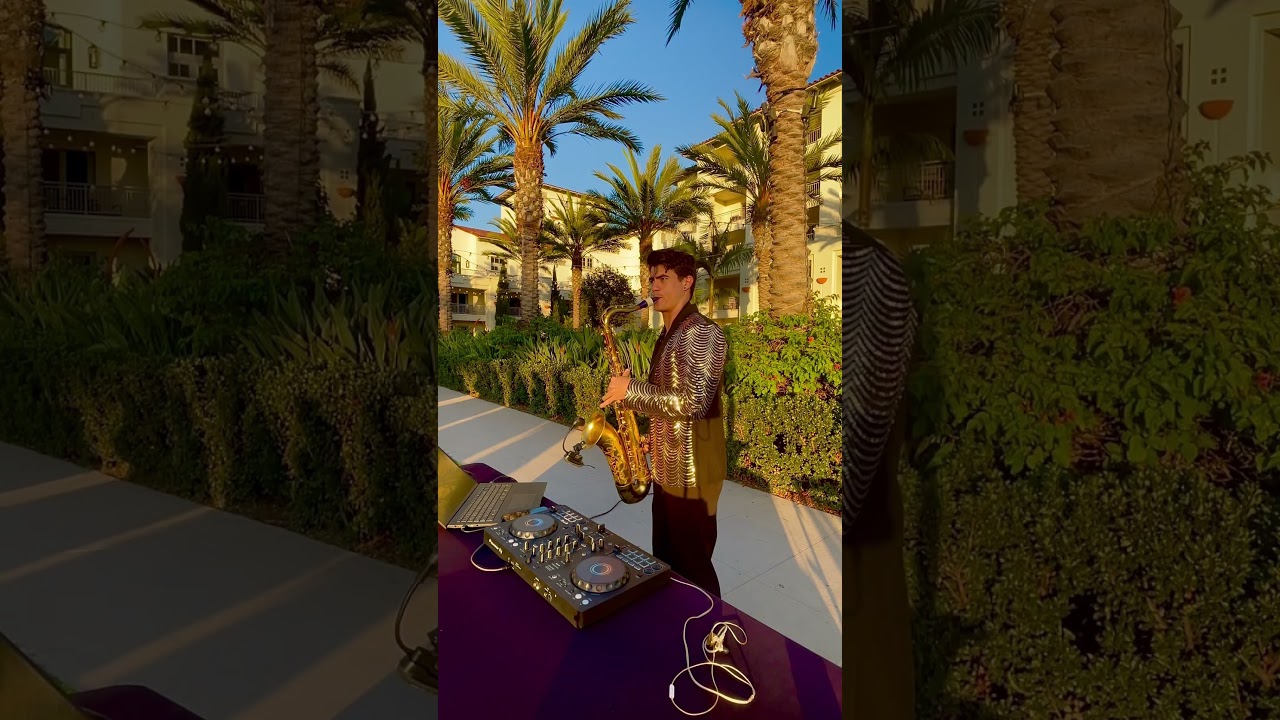 Promotional video thumbnail 2 for RedPandaMusic