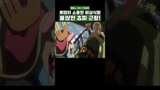 최신화) 루피의 소중한 비상식량 불쌍한 쵸파 근황! #onepiece #원피스