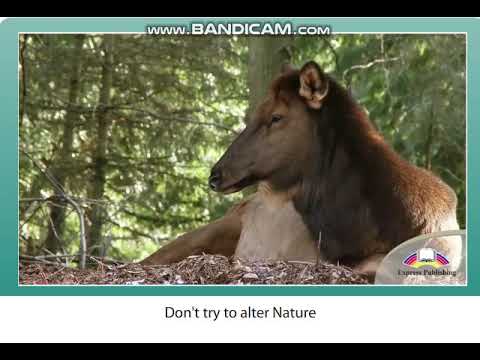 Excel 8. Module 6. p.74 Nature Rule. Video clip