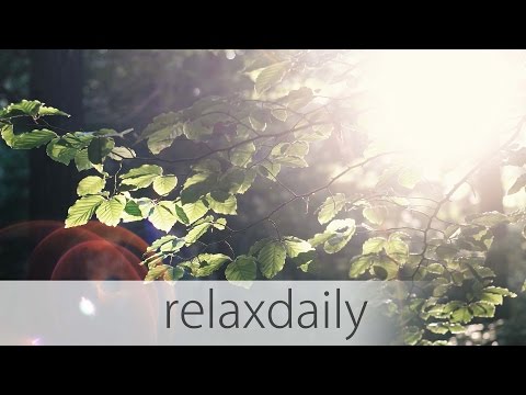 Calm & Soothing Piano Music - N°021 (4K)