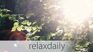 Calm & Soothing Piano Music - N°021 (4K)