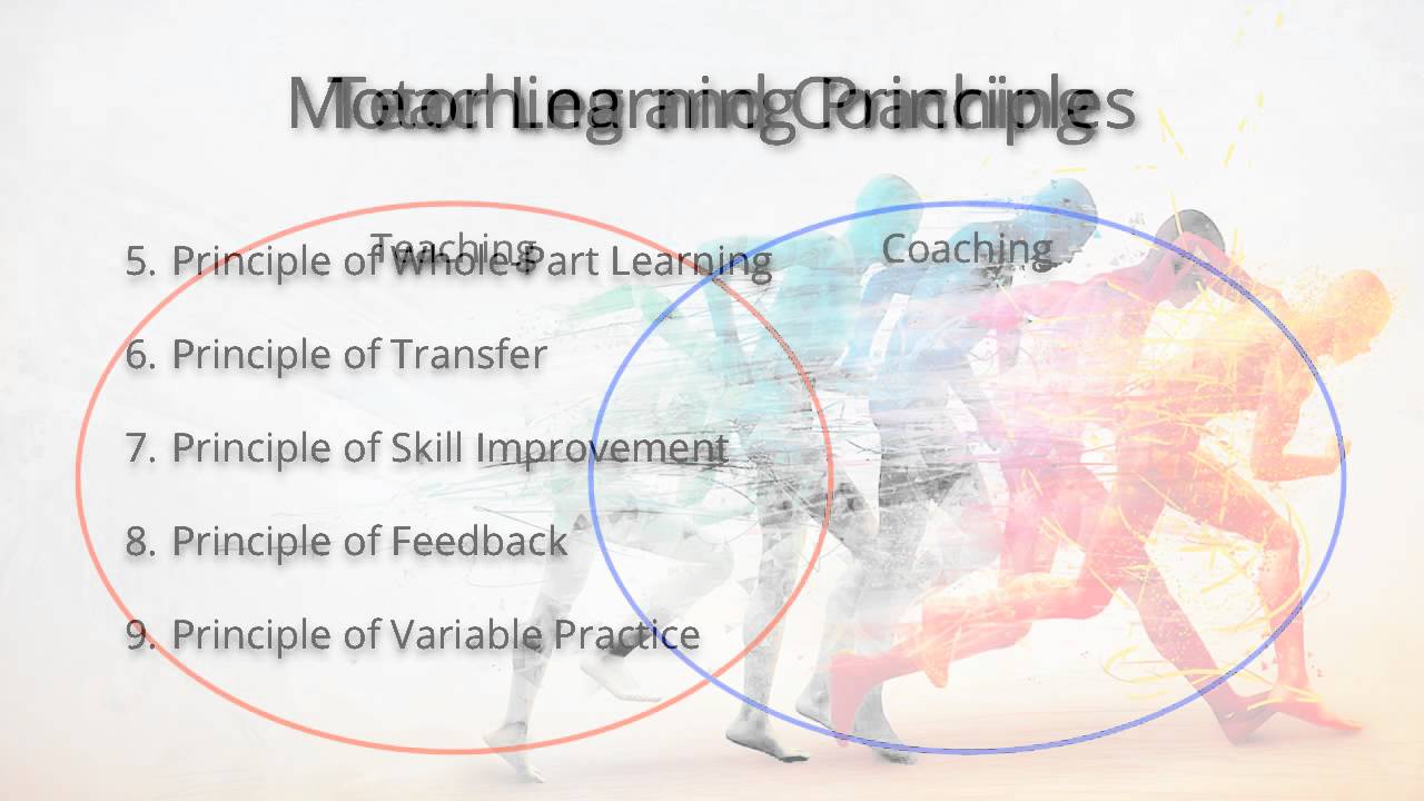 What Are Principles Of Motor Learning EN General