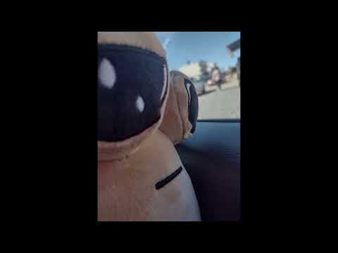 เมืองร้อนเธอคงไม่หนาว และ หนุ่มเมืองดาวจะกอดใคร - HawkCry | Cover Kayashi