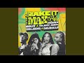 Shake It To The Max FLY Remix