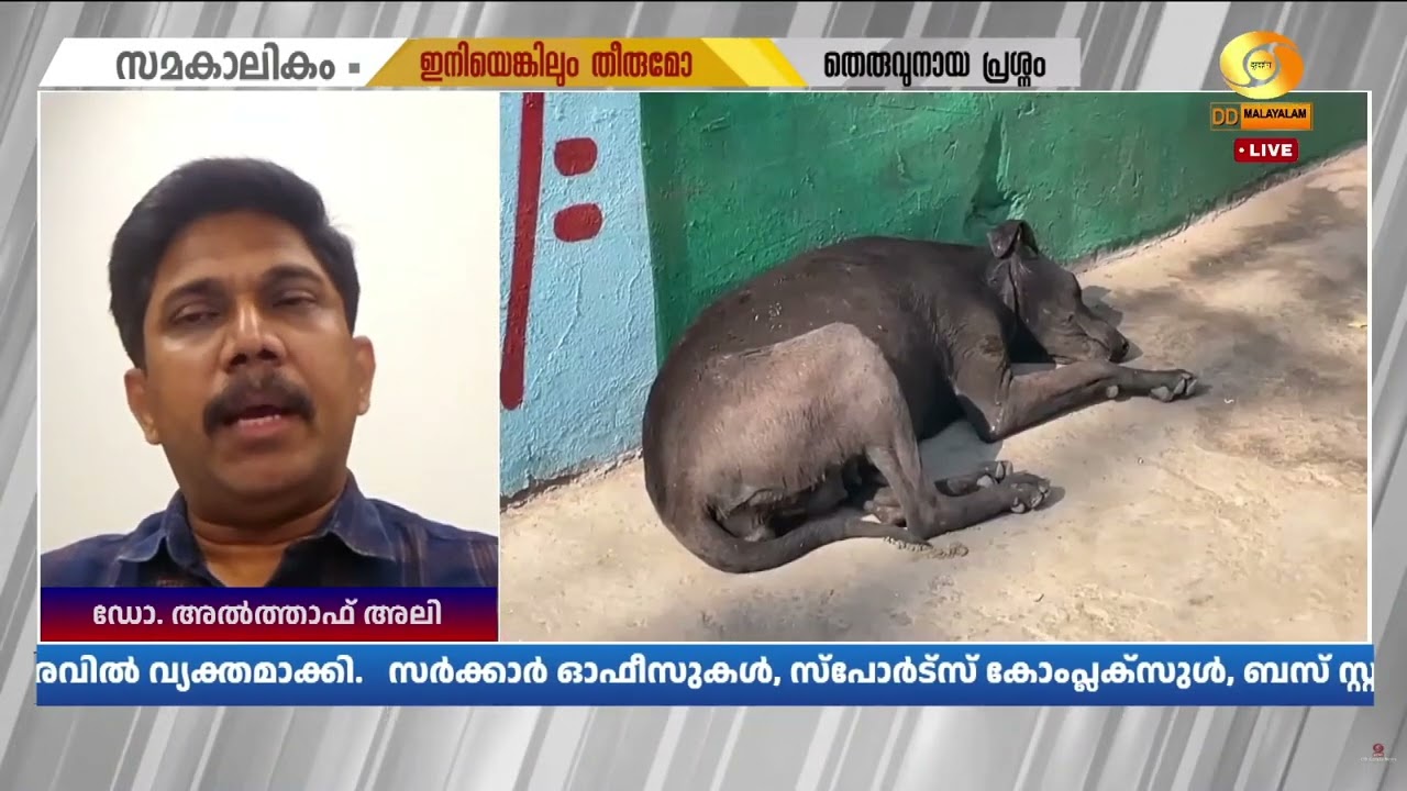 'ജനങ്ങളുടെ ജീവിതം സുരക്ഷിതമാക്കണം; റോഡ് അപകടങ്ങൾക്?