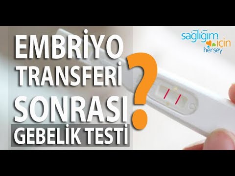 Embriyo Transferi Sonrasında Gebelik Testi