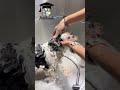 Keep Those Ears Squeaky Clean