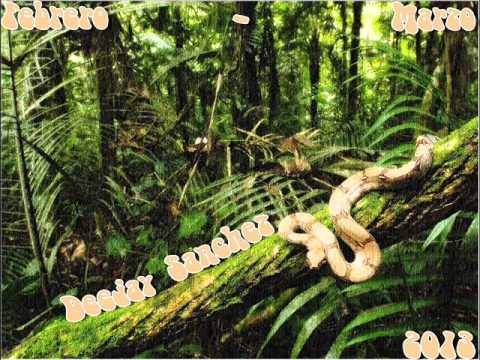 Moree Mk Ft Dakaneh-Maui Beach Ft Dj Sanchez.