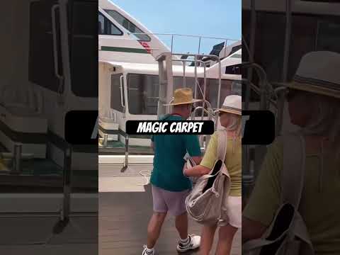 Thumbnail for Should all cruise ships have this? #shorts