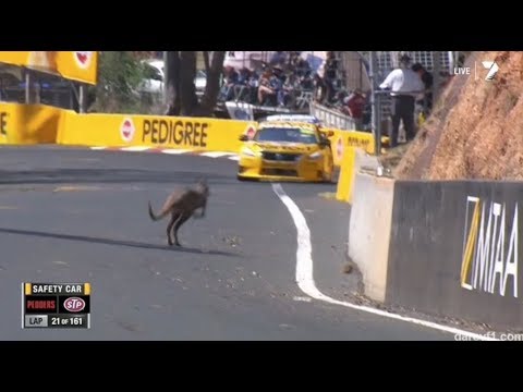Bathurst vs. Kangaroos