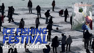 HWACHEON SANCHEONEO ICE FESTIVAL | SOUTH KOREA