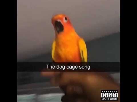 Icyamir - The Dog Cage Song // Yung Skrrt Remix