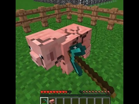 this cursed Minecraft video will trigger you...